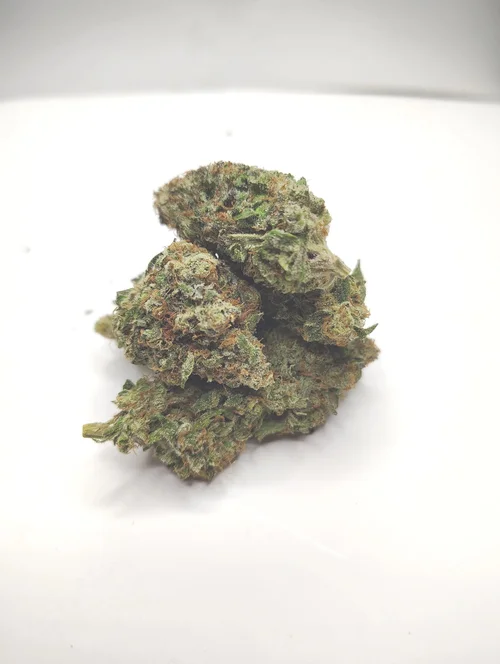 Dominion Skunk