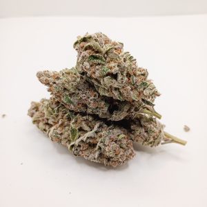 TerpGasm