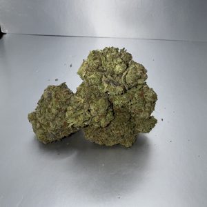 Animal Cookies